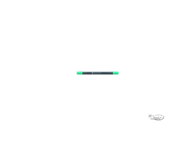 AQUA PEN Graphix - 297 vodní zeleň