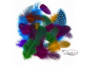 Peří z perličky 1 g, 4-6 cm, barevný mix