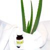 gen vyr 1900aloe